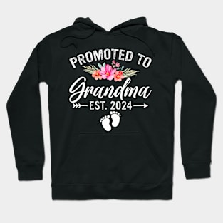 Promoted to Grandma 2024 First Time New Grandma Pregnancy Hoodie